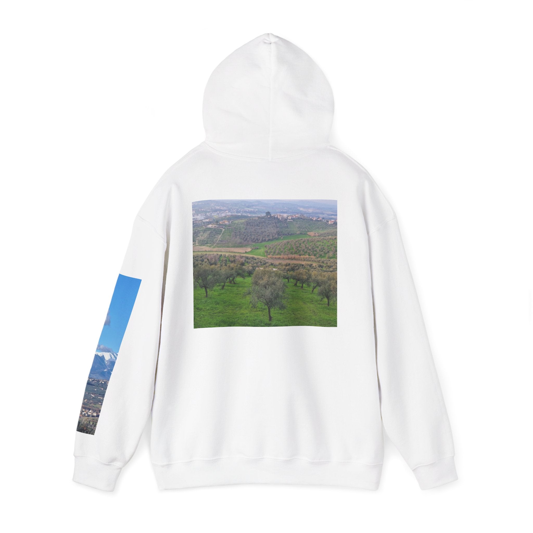 Unisex Heavy Blend™ Hooded Sweatshirt