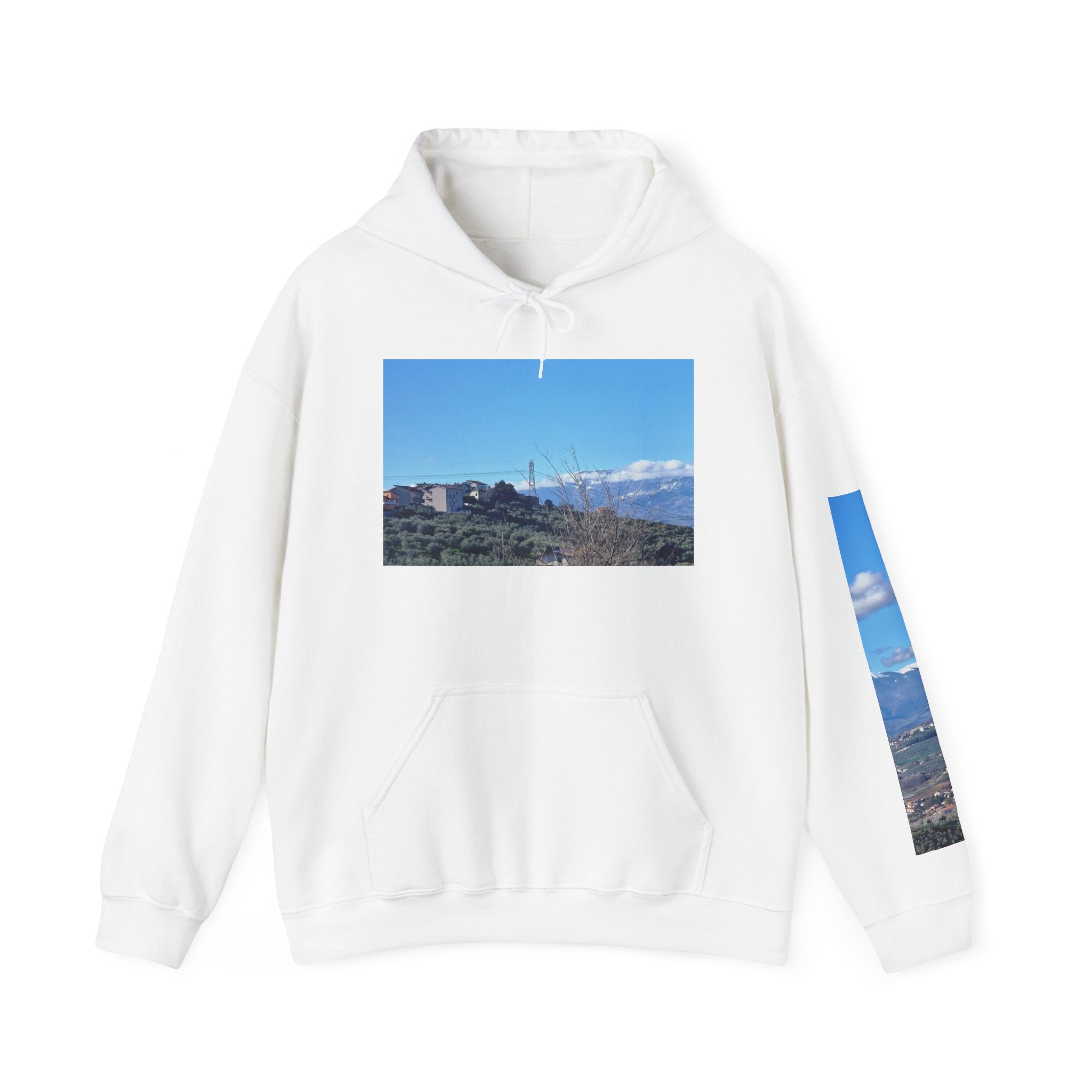 Unisex Heavy Blend™ Hooded Sweatshirt