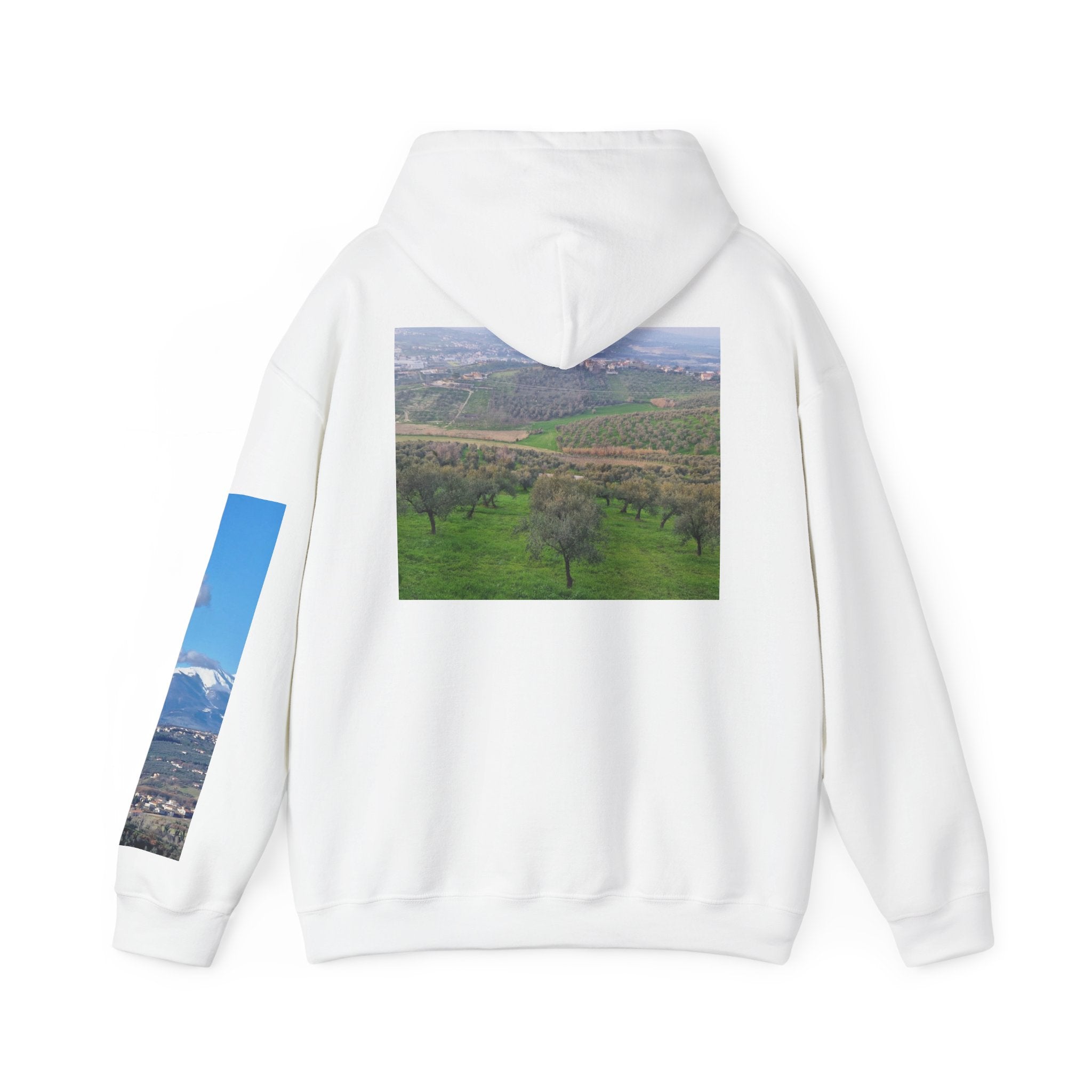 Unisex Heavy Blend™ Hooded Sweatshirt